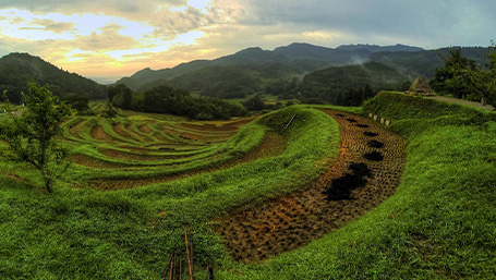 大山千枚田