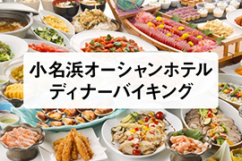 【和洋中の豪華お料理勢ぞろい！】ディナーバイキングプラン