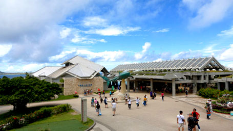 海洋博公園・沖縄美ら海水族館